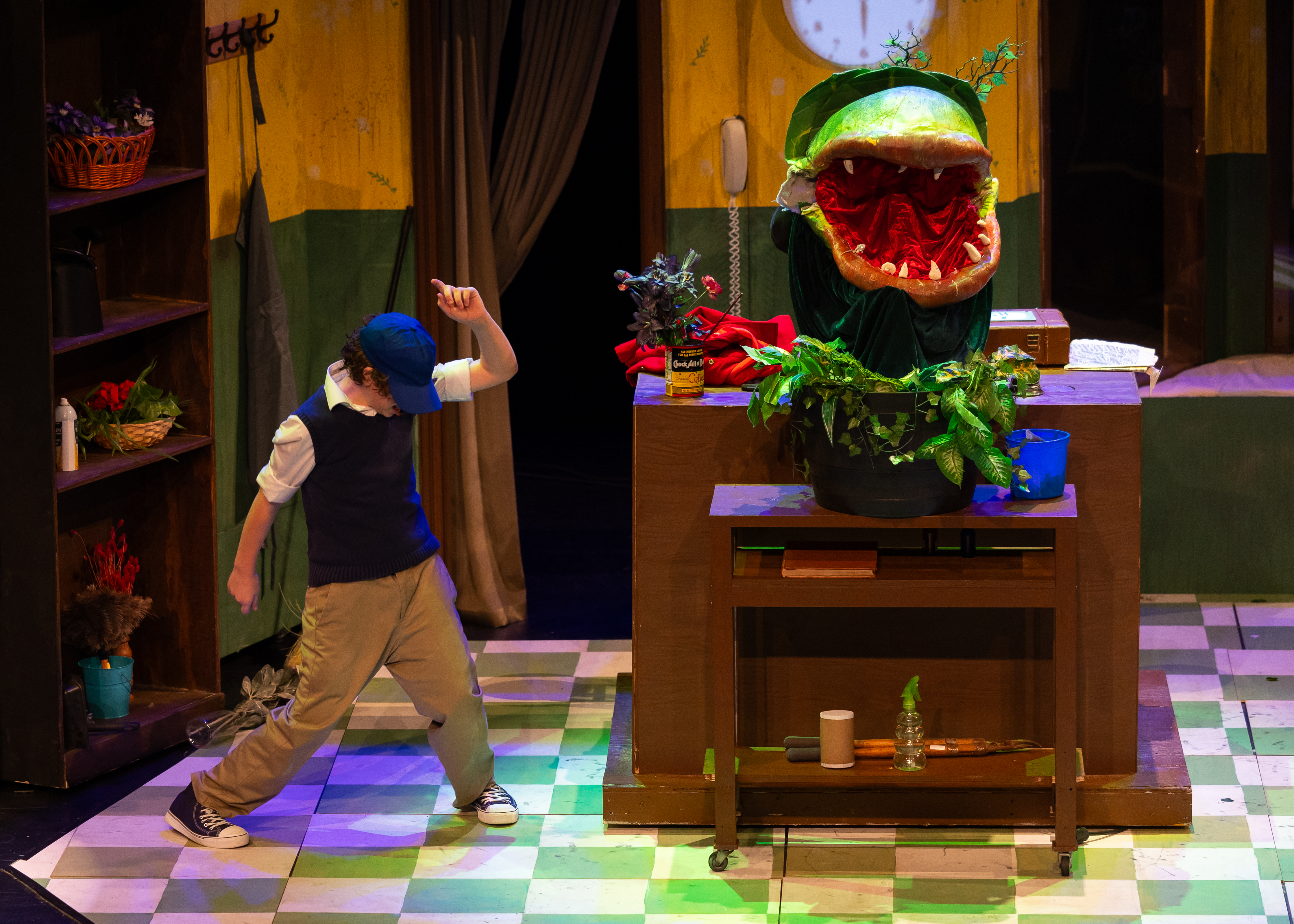 set-littleshop 6
